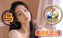 澳门宝典材料查询