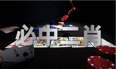 中国正正版材料大仝V